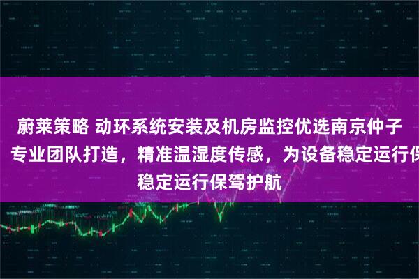 蔚莱策略 动环系统安装及机房监控优选南京仲子路科技，专业团队打造，精准温湿度传感，为设备稳定运行保驾护航